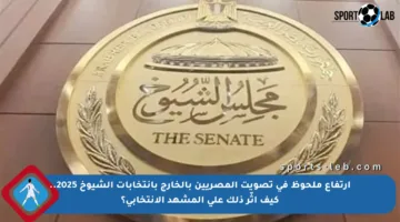 ارتفاع ملحوظ في تصويت المصريين بالخارج بانتخابات الشيوخ 2025.. كيف أثّر ذلك على المشهد الانتخابي؟